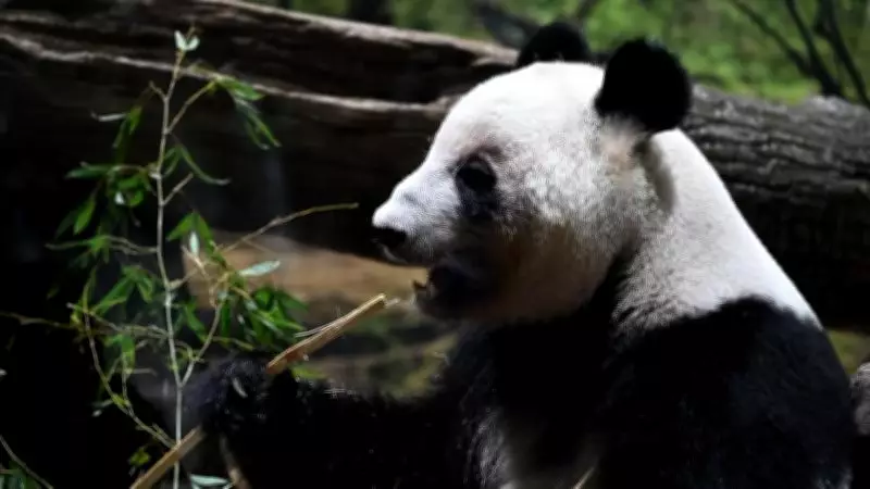 Tensões entre China e Japão se intensificam após declarações sobre Taiwan