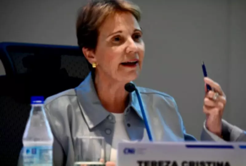 Tereza Cristina descarta conversa sobre vice-presidência em 2026: 'É muito cedo'