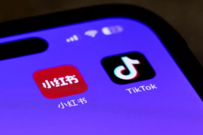 TikTok rastreia sua vida online mesmo sem uso do aplicativo: entenda os riscos