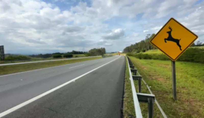 Trabalhador morre atropelado por caminhão durante manobra de ré na Rodovia Carvalho Pinto