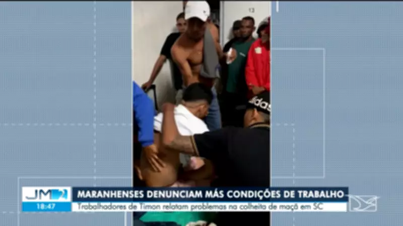 Trabalhadores de Timon denunciam abusos e falta de atendimento médico em colheita de maçãs em SC