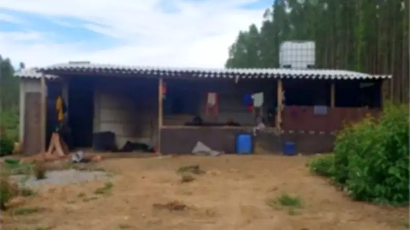 Trabalhadores resgatados de carvoaria em Tapira sobreviviam com milho verde e dormiam com fome