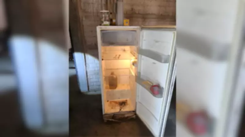 Trabalho Análogo à Escravidão em MG: Justiça Bloqueia Bens de Fazendeiro Após Denúncia