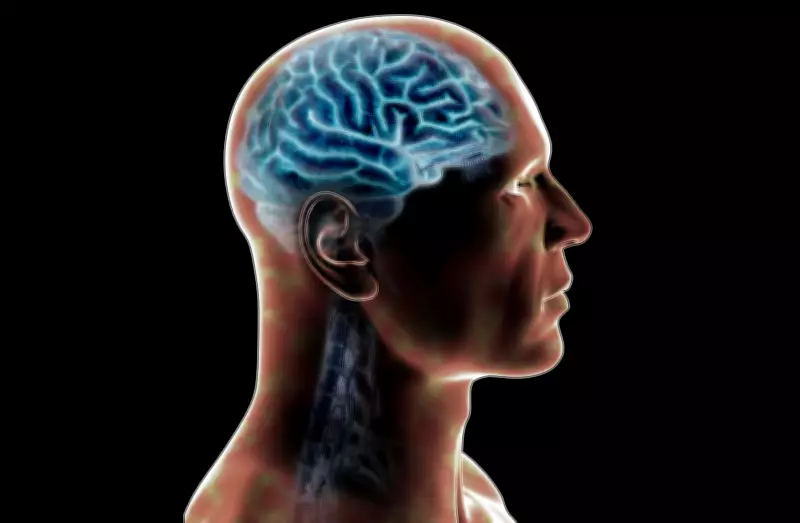 Traumatismo Craniano Após Agressão: Neurocirurgião Explica Riscos e a Importância do Atendimento Imediato