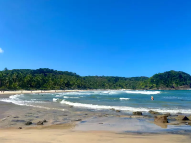 Tributação Verde no Litoral Baiano Promove Justiça Fiscal e Preservação Ambiental