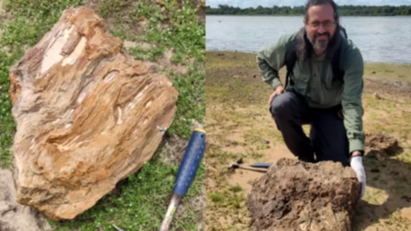 Troncos petrificados de 280 milhões de anos são descobertos no interior do Piauí