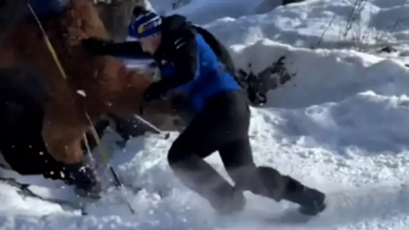 Turista brasileiro é agredido violentamente em estação de esqui nos Alpes franceses