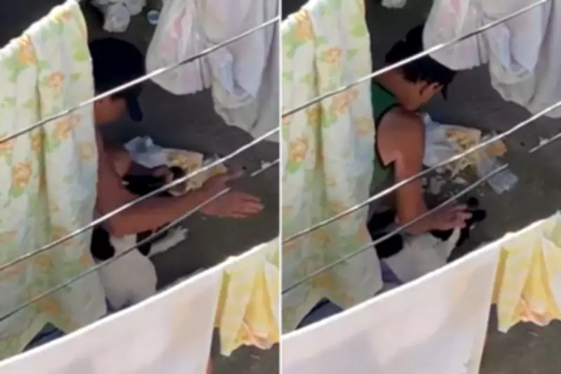 Tutor absolvido recupera cão após quatro anos de abrigo por agressão em Praia Grande