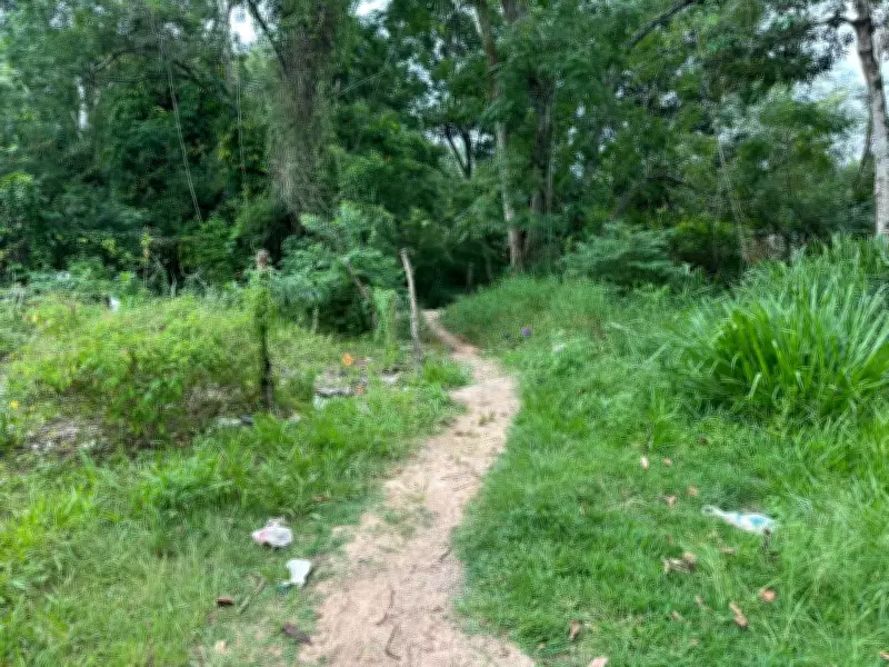 Tutor de pitbulls pode responder por homicídio doloso após ataque fatal a idosa em São José dos Campos