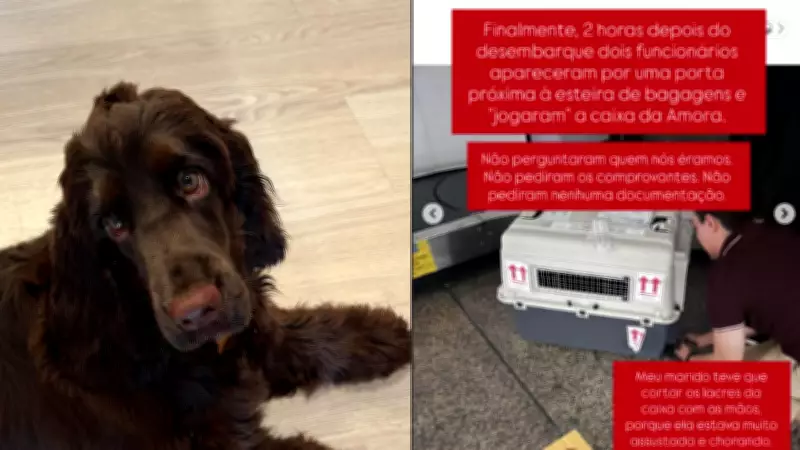 Tutores denunciam demora de 2 horas para receber cadela após voo do Piauí para São Paulo