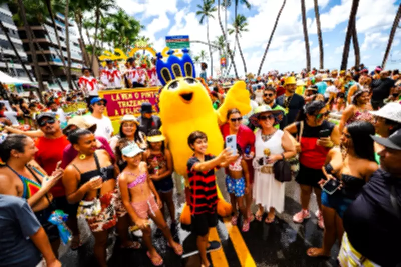 TV Asa Branca transmite ao vivo o bloco Pinto da Madrugada em Maceió neste sábado