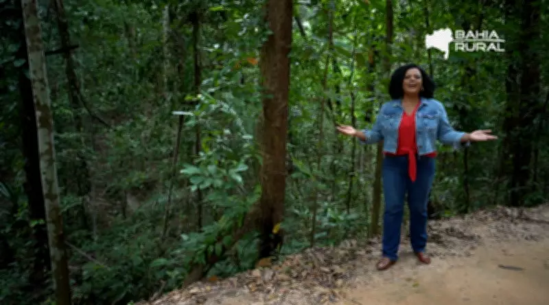 TV Bahia e G1 Bahia Apresentam Destaques do Domingo 8 de Fevereiro de 2026