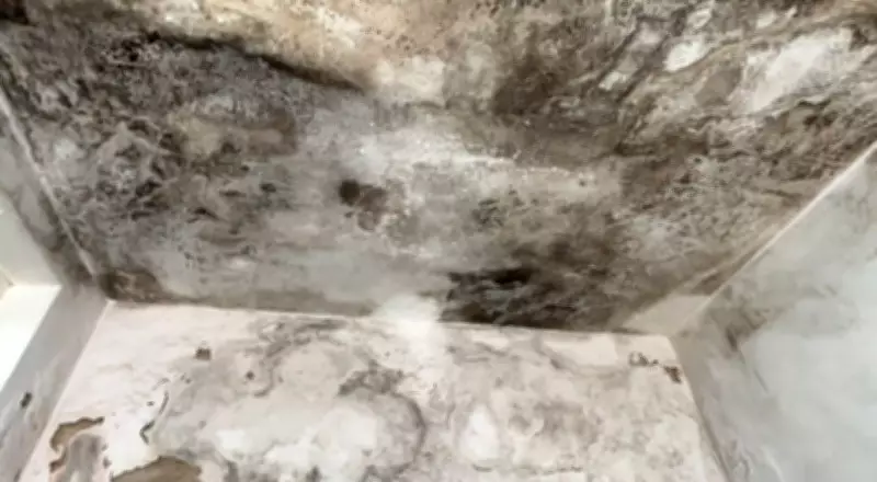 UBS de Piracicaba sofre com infiltrações e mofo; atendimento odontológico é transferido