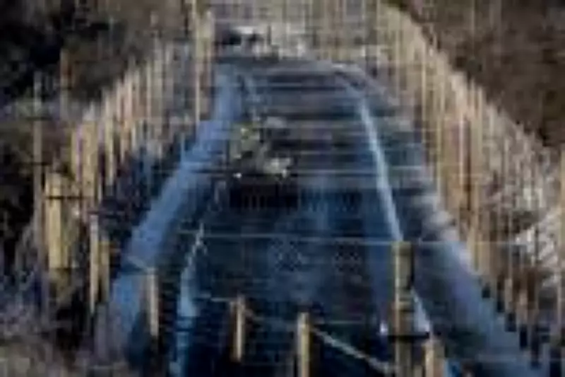 Ucrânia planeja instalar redes antidrones em 4.000 km de estradas até 2026