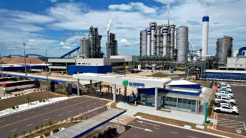 UE define data para decisão sobre aquisição bilionária da Suzano