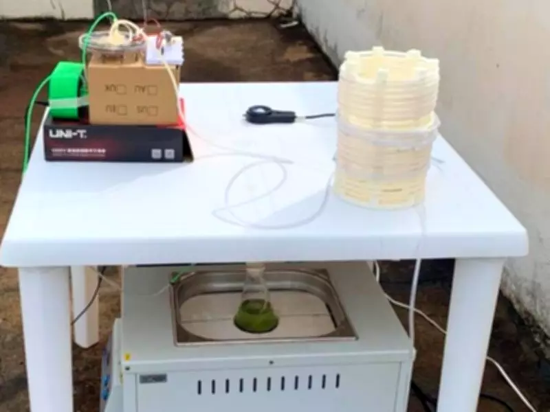 Unesp desenvolve sistema que gera eletricidade com bactérias marinhas e captura CO₂