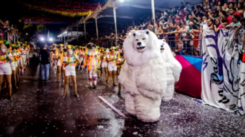 Urso da Paz é a grande campeã entre as Ala Ursas no Carnaval Tradição 2026 em João Pessoa