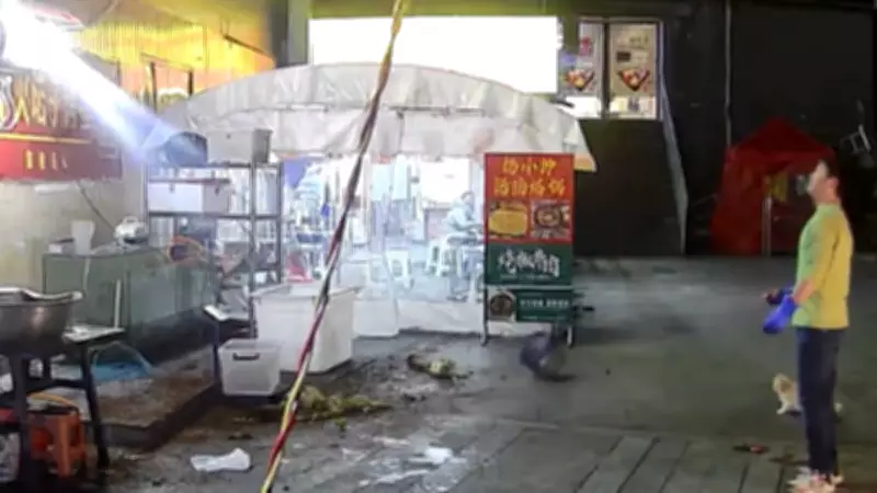 Vaso cai de prédio e homem escapa por segundos ao alimentar gato na China