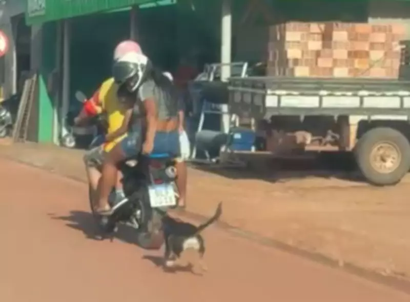 Vídeo chocante mostra cachorro sendo arrastado por moto em Santarém, Pará
