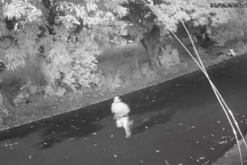 Vídeo flagra suspeito invadindo casa e agredindo idoso com martelo em Mogi Mirim