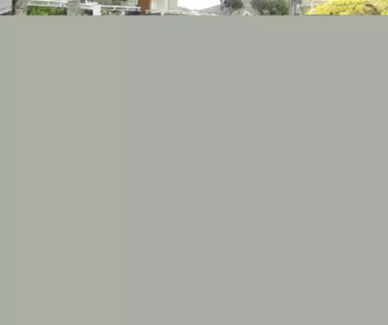 Vídeo mostra cão Orelha vivo após horário da agressão, afirma defesa de adolescente