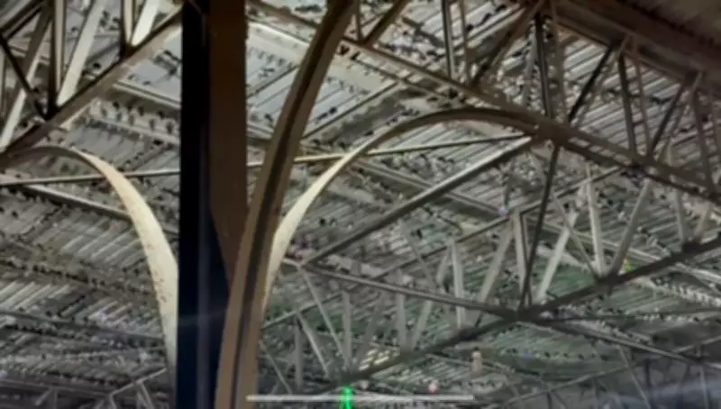 Vídeo revela centenas de aves abrigadas em rodoviária de Campos durante temporal