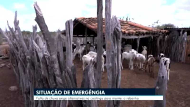 Vídeos AB2 de Segunda-feira: Caruaru e Região em Destaque no G1