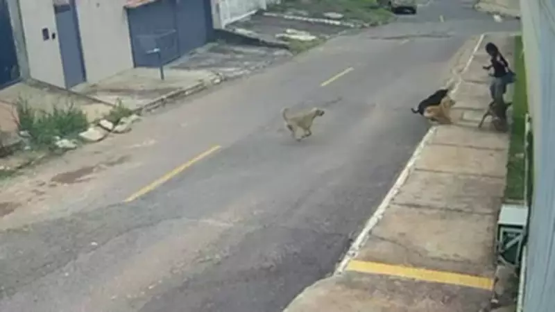 Vídeos do DF2: Confira os destaques do sábado, 21 de fevereiro de 2026