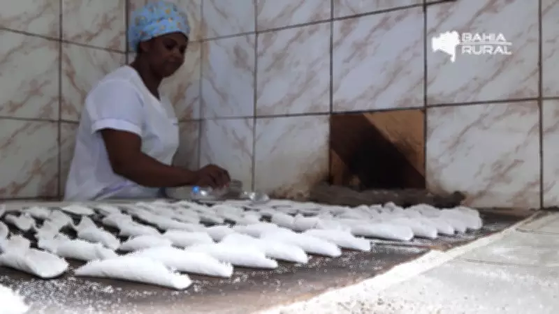 Vídeos do G1 e TV Bahia: Destaques do Domingo 22 de Fevereiro de 2026