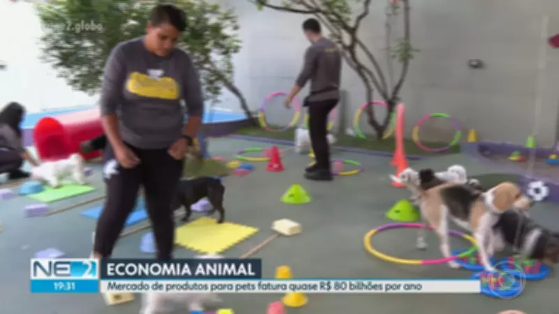 Vídeos NE2: Confira as principais notícias de Pernambuco nesta segunda-feira