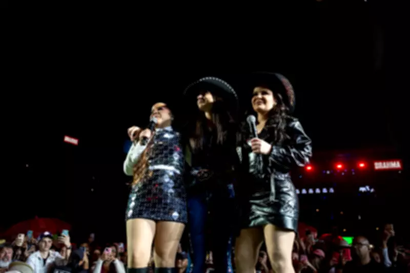 Vereadores questionam gasto de R$ 6 milhões da prefeitura com carnaval em São José do Rio Preto