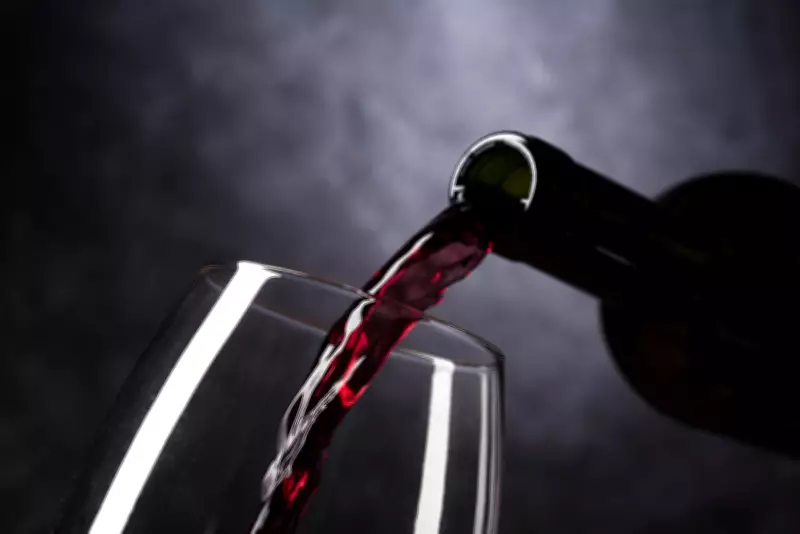 Vinhos sul-americanos brilham entre os melhores do mundo em 2026