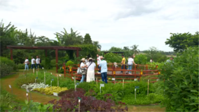 Vital: Vitrine Tecnológica de Agroecologia é destaque no 38º Show Rural Coopavel