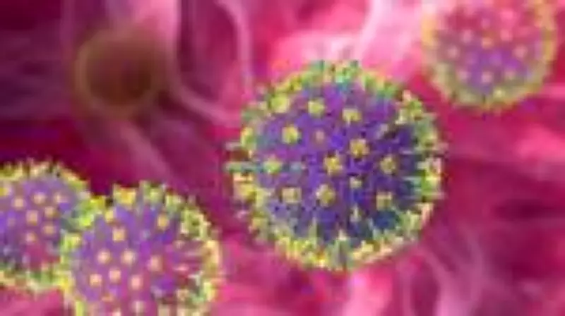 Vírus Nipah: alerta global reforça lições da pandemia de covid-19 sobre ação rápida