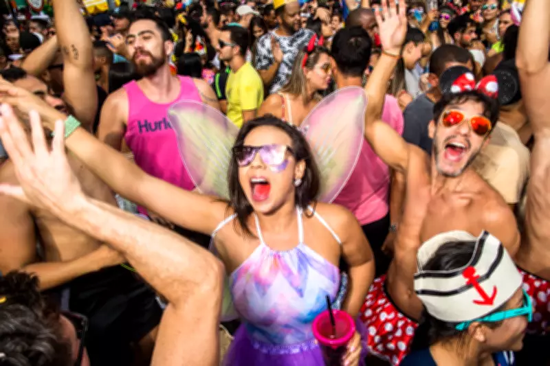 Vírus Nipah no Carnaval: OMS e especialistas esclarecem que risco é baixo e pânico é infundado