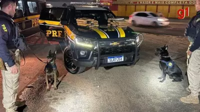 Adolescente de 16 anos é apreendida com quase 34 kg de maconha em ônibus na BR-343, em Teresina