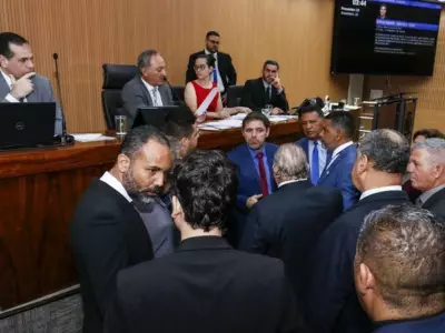 Campinas aprova lei que aumenta multas para maus-tratos a animais em até R$ 9,6 mil