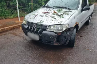 Chuva intensa em Campo Grande derruba árvore sobre carro e causa alagamentos