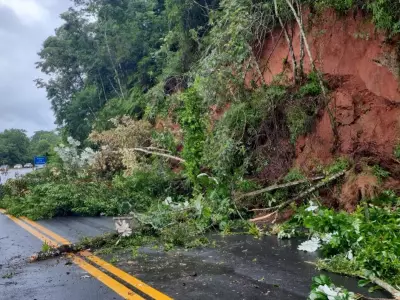 Deslizamento interdita Rodovia Padre Manoel da Nóbrega em Itariri, SP