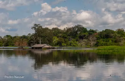 Estudo inédito revela que 18% da Amazônia são áreas úmidas sob forte ameaça