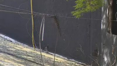 Justiça mantém multa diária de R$ 10 mil à CEEE Equatorial por plano inadequado sobre fios em Porto Alegre