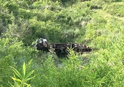Motorista morre ao pular de caminhão desgovernado na BR-116, em Leopoldina