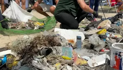 Mutirão 'Ondas Limpas' em Caraguatatuba retira 115 kg de lixo para proteger vida marinha