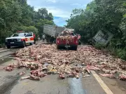 Acidente com caminhão de carne deixa motorista grave e espalha restos na BR-010