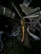 Acidente com ônibus deixa 3 mortos e 13 feridos em Agronômica, SC