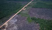 Alertas de desmatamento caem 35% na Amazônia e 6% no Cerrado, segundo dados do Inpe