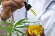 Anvisa autoriza cultivo de Cannabis para pesquisa científica no Brasil