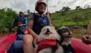 Aventuras com Pets em Socorro (SP): Dicas para Trilhas e Esportes Seguros