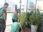 Baixada Santista inicia vacinação contra dengue em dose única para profissionais de saúde