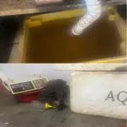 Balança de Peixe em Maceió é interditada por condições insalubres e risco sanitário